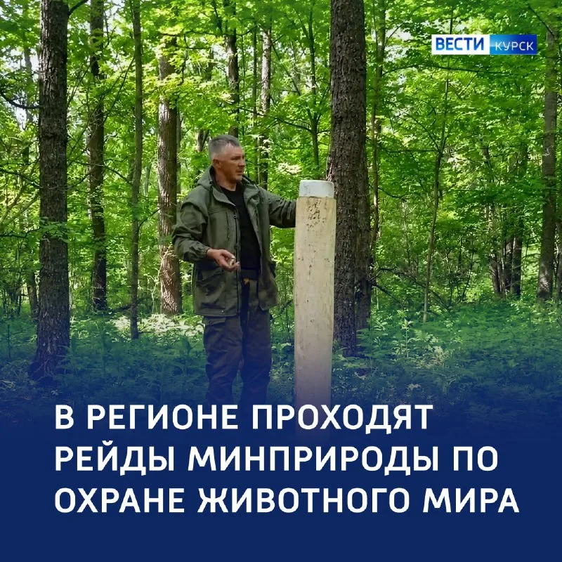 Сотрудники Минприроды Курской области на рейде по охране животного мира.
