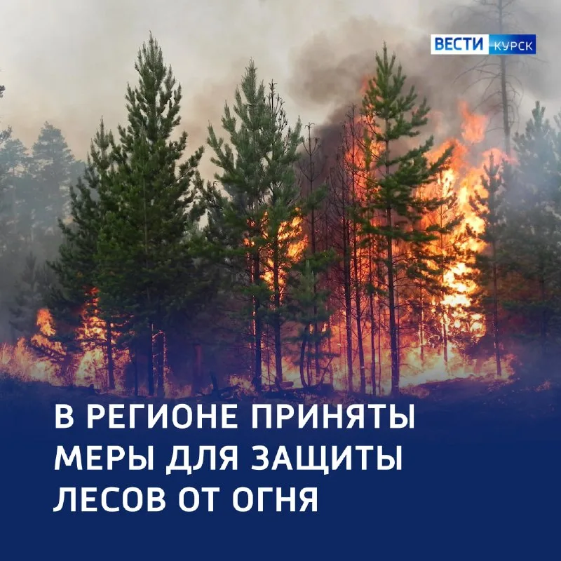 Курская область наращивает защиту лесов от пожаров