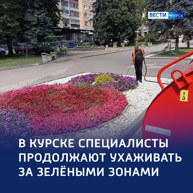 В Курске поливают цветники по графику - в зависимости от погоды