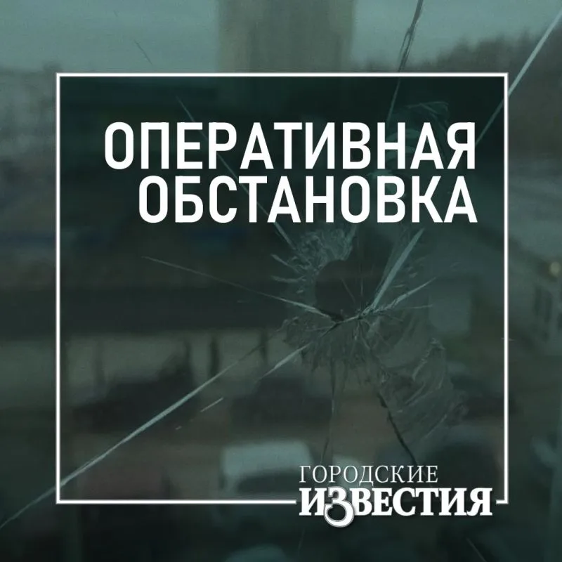 24 человека пропали в Курской области за сутки