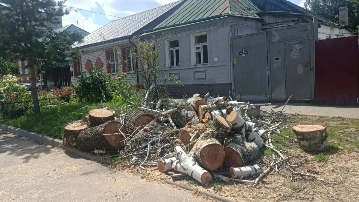 В Курске продолжаются работы по уборке аварийных деревьев