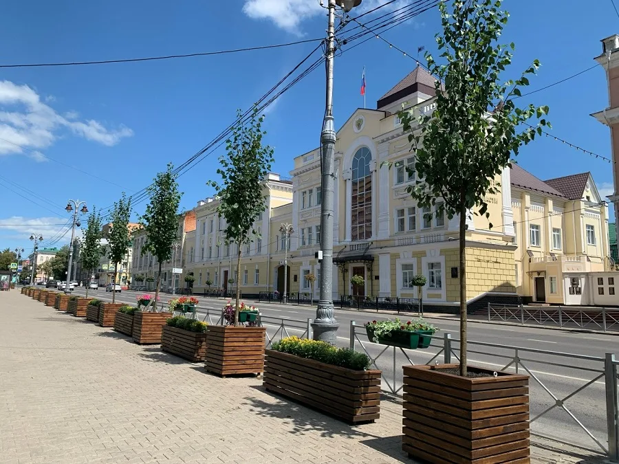 На улице Ленина высадили девять молодых лип