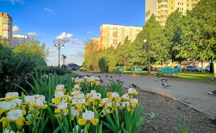 В Курске продолжаются работы по благоустройству и уходу за зелеными насаждениями