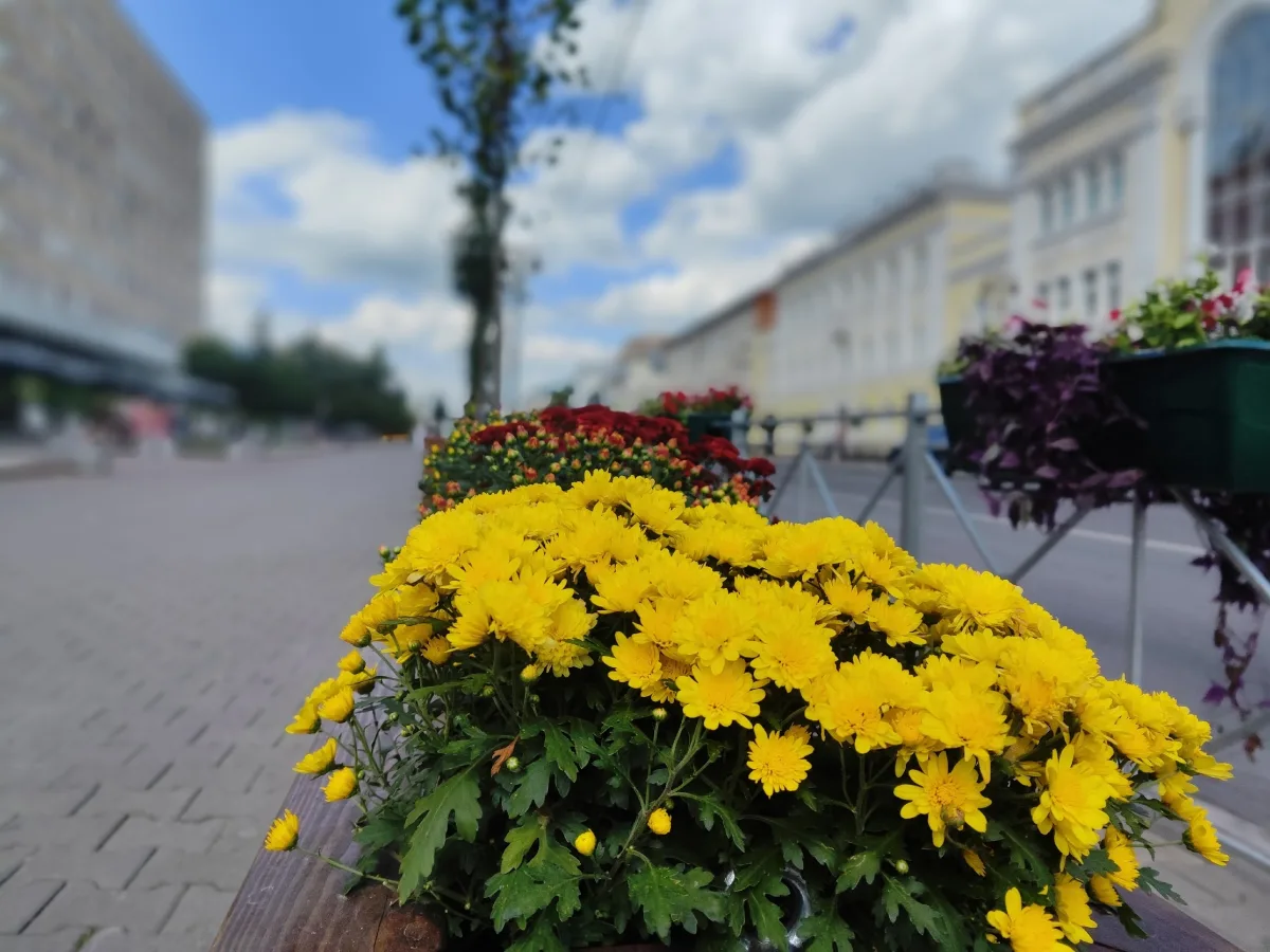 Прогноз погоды на 18 августа в Курской области: тепло и без осадков