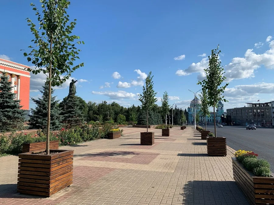 Курск продолжает озеленение: новые деревья и арт-объект на улице Ленина