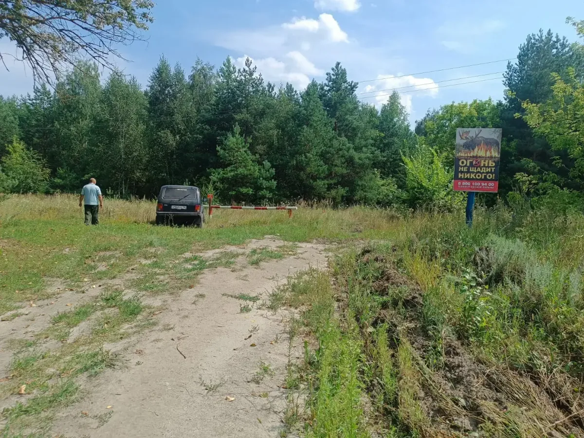 В Курской области усилено патрулирование лесов из-за высокой пожарной опасности