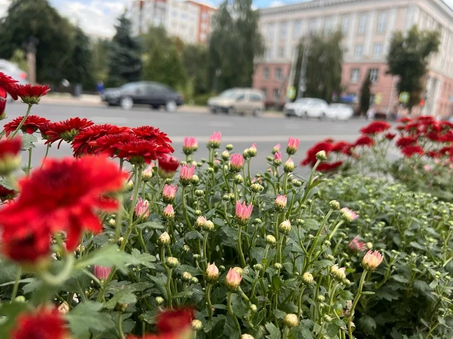 Погода в Курской области, ясное небо и солнечный день