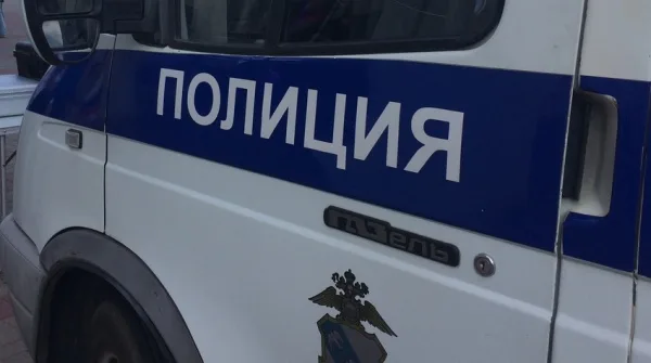 Пенсионерка, пропавшая в Курске, найдена живой и здоровой после успешных поисков.