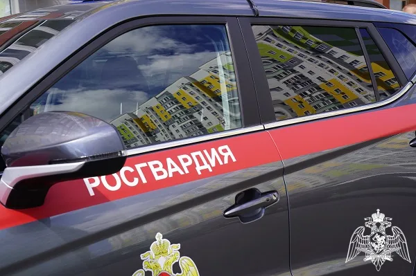 Росгвардия Курской области предотвратила кражи и задержала подозреваемого Росгвардия Курской области предотвратила кражи и задержала подозреваемого