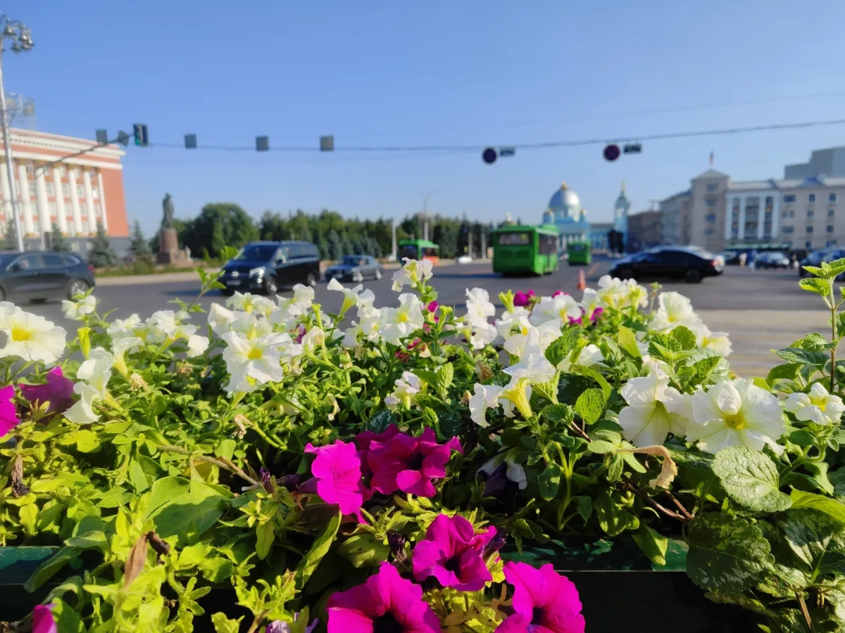 В Курске ввели мораторий на новую стройку в центре города и начали реставрацию памятников