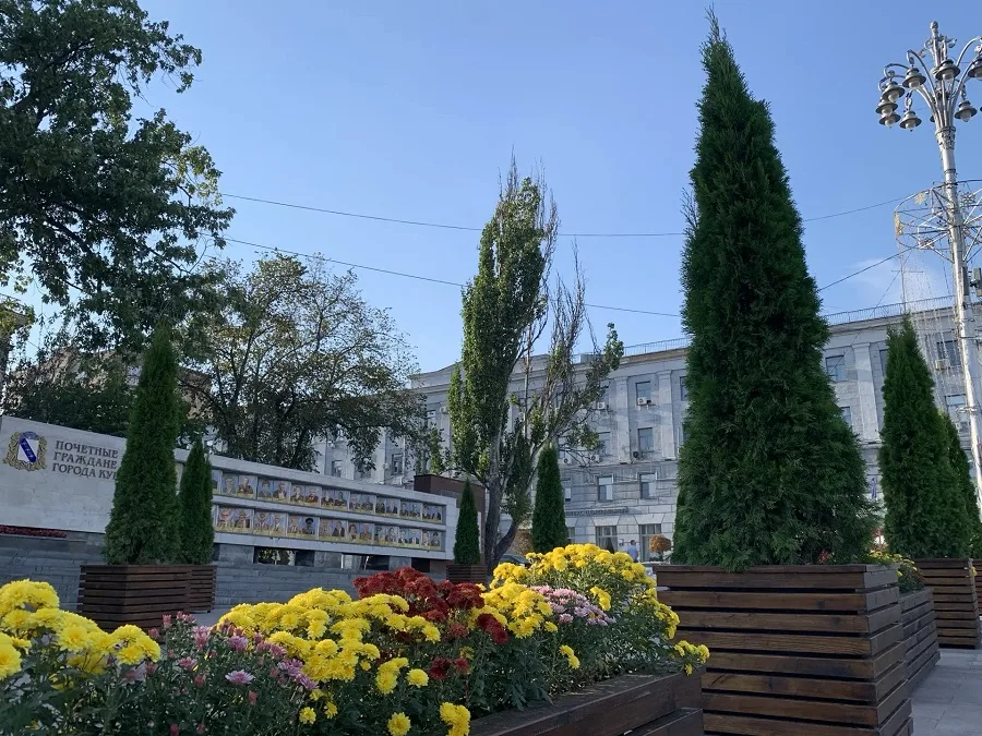 Прогноз погоды в Курске на ближайшие сутки: тепло и без осадков