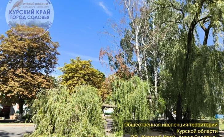 В Курске упало дерево, создавая угрозу безопасности на дороге
