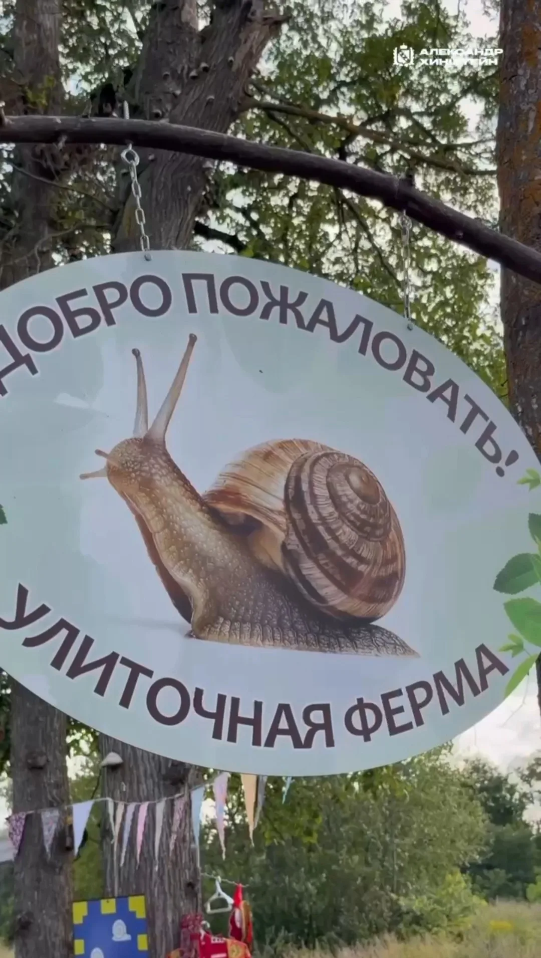 Александр Хинштейн посетил улиточную ферму в Фатежском районе Курской области