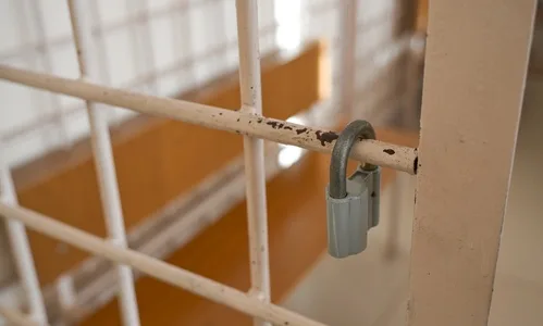 В Курчатове задержан молодой человек за попытку мошенничества на 764 тысячи рублей
