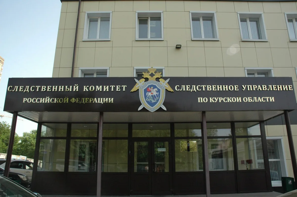 Детская площадка в Дмитриеве, где произошел инцидент с травмой ребенка.