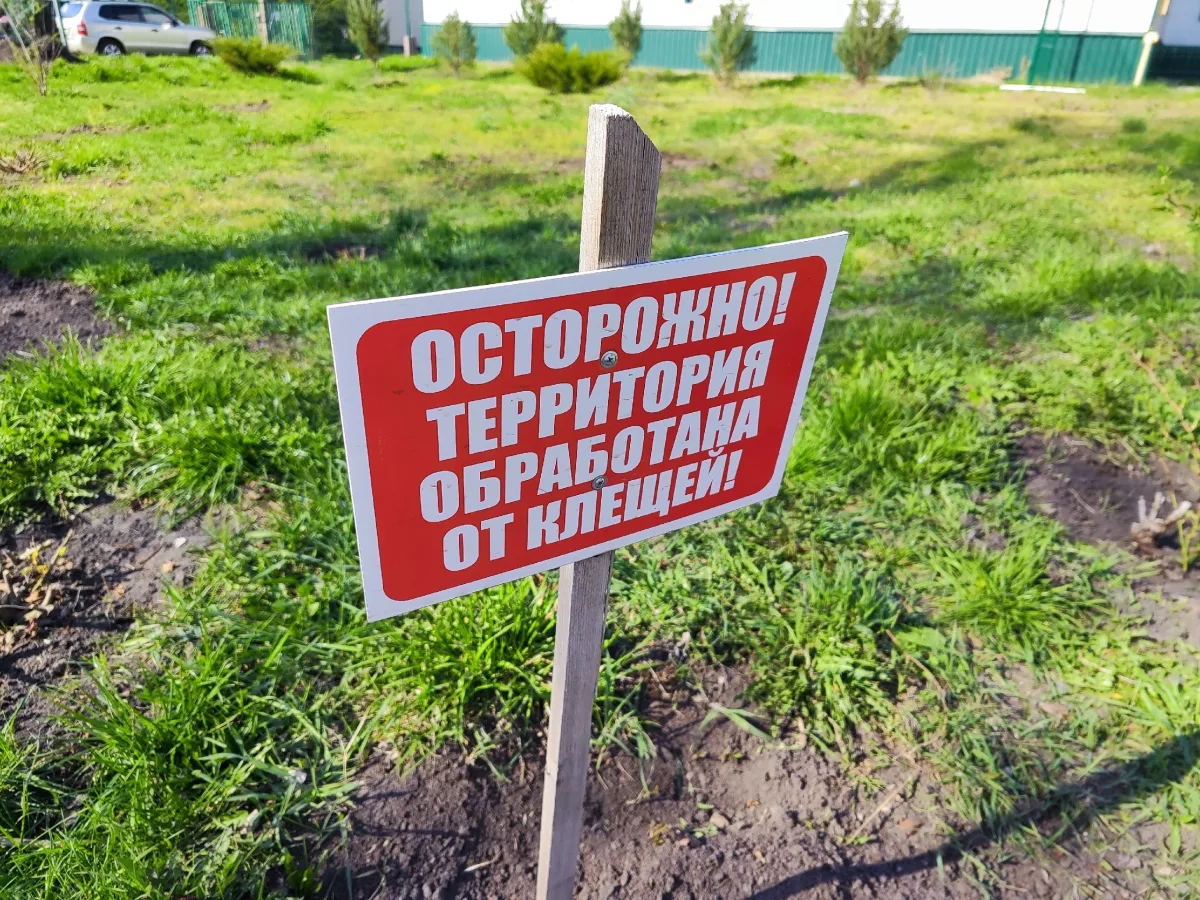 В Курской области снизилось число пострадавших от укусов клещей