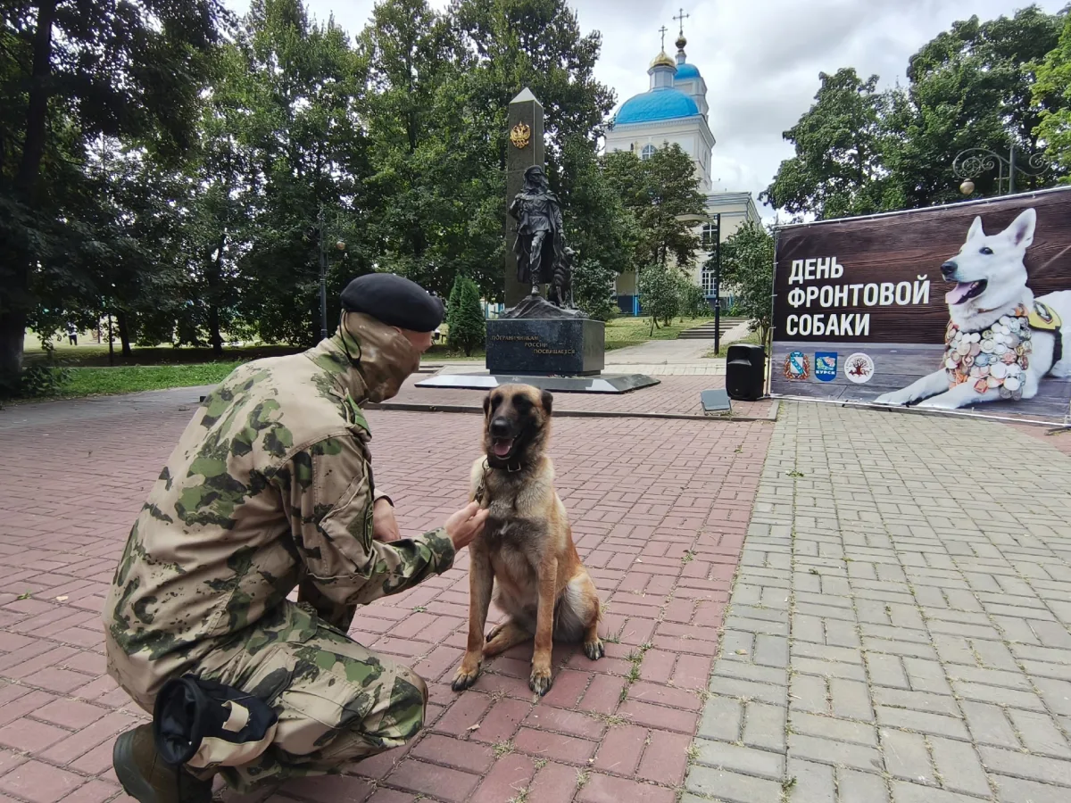 Служебная собака Верея демонстрирует навыки дрессировки на празднике в Курске.