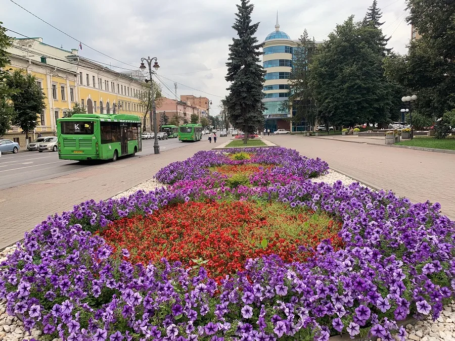 Прогноз погоды в Курске на ближайшие сутки: дожди и грозы