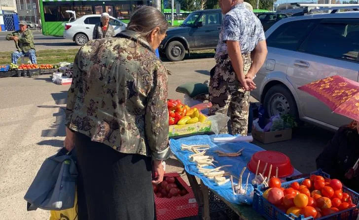 Стихийный рынок на проспекте Советских Космонавтов: Россельхознадзор предупреждает о рисках