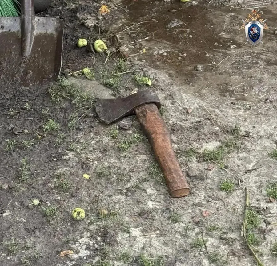 В Курской области завершено расследование дела о покушении на убийство