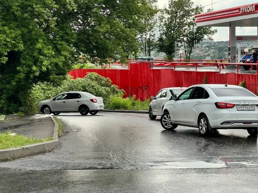 Временное перекрытие дороги на улице Ватутина в Курске из-за работ по опиловке деревьев