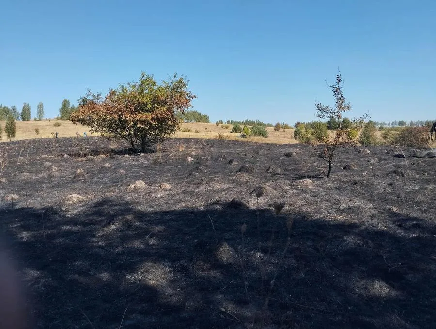 В Обоянском районе ликвидированы лесные пожары