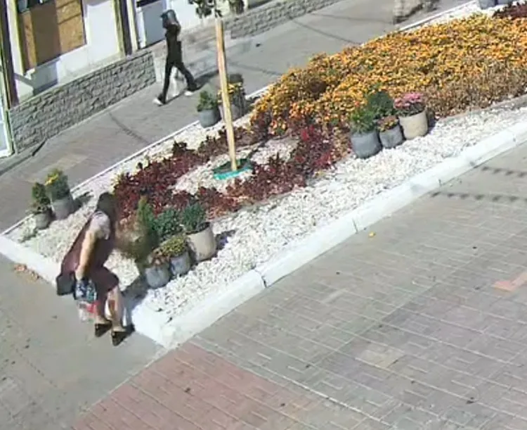 В Курске женщина повредила цветы и фотозону на улице Ленина