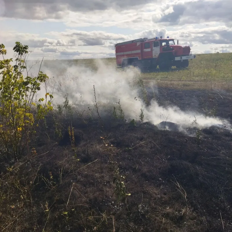 Сотрудники противопожарной службы Курской области ликвидировали два крупных возгорания травы